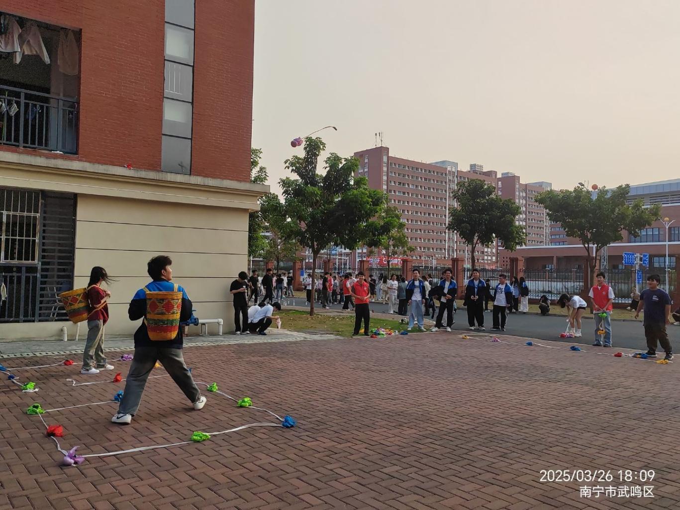 图片7