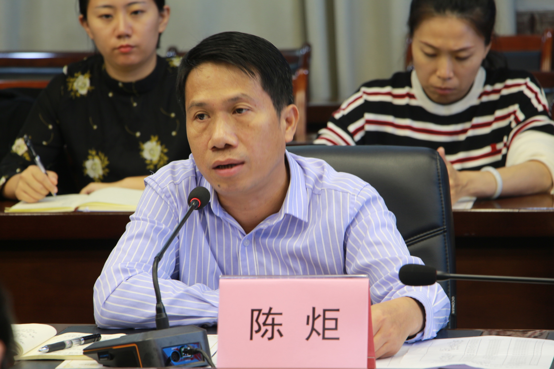 陈炬副处长总结发言