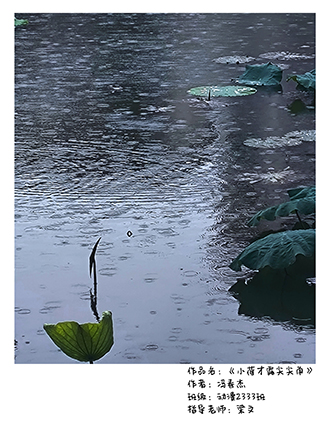 0c868fd819d34935a4a3607c9b8b1894.jpg
