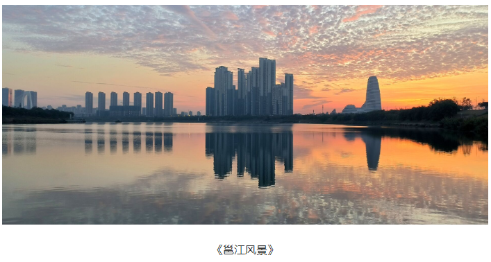 208d3deb7395405bb52456e7f0efe4f0.png