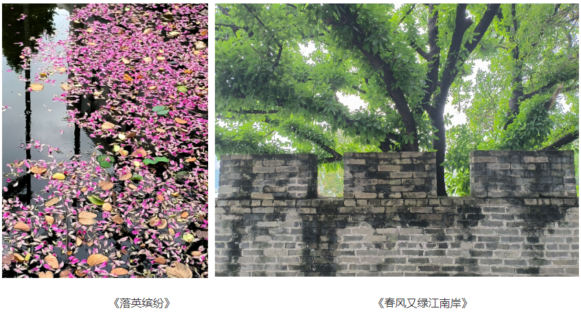 f733bc17dc65404fbd349a07eeb9efa7.png