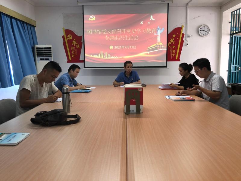 党史学习教育专题组织生活会.jpg