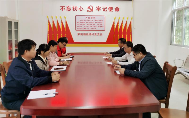 冯书记在田泗村主持召开座谈会.jpg