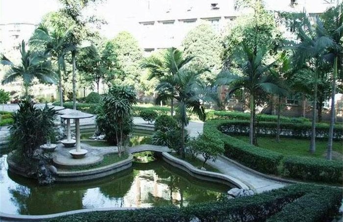 假山鱼池