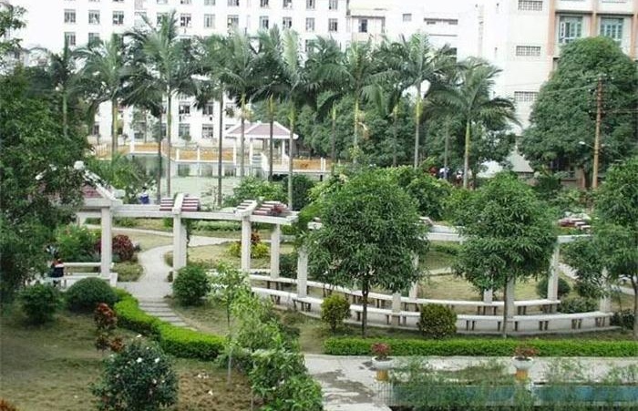 西校园小花园