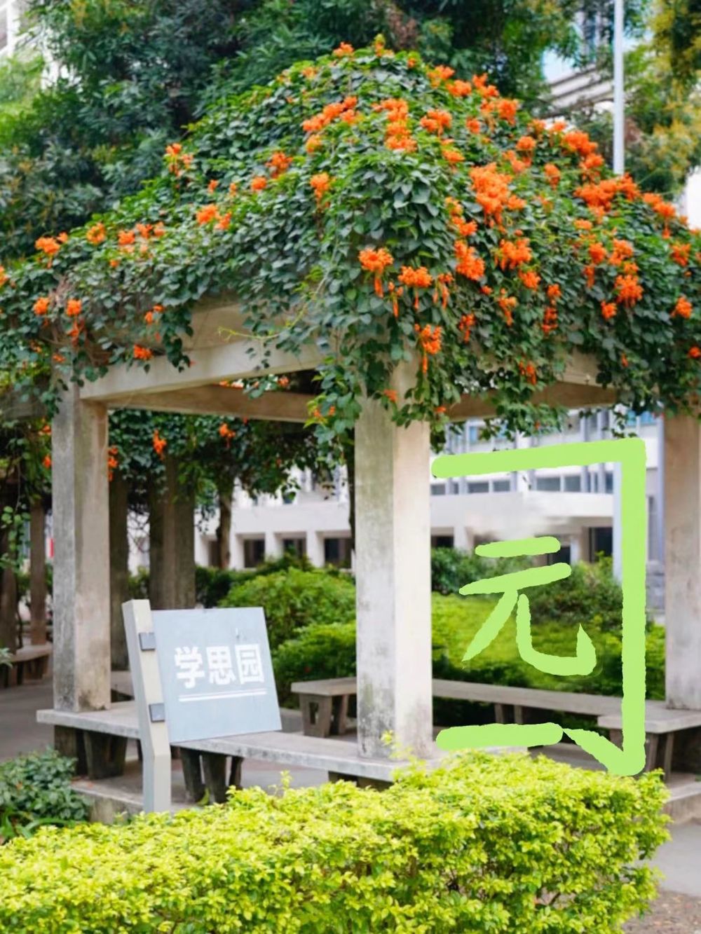 学思园