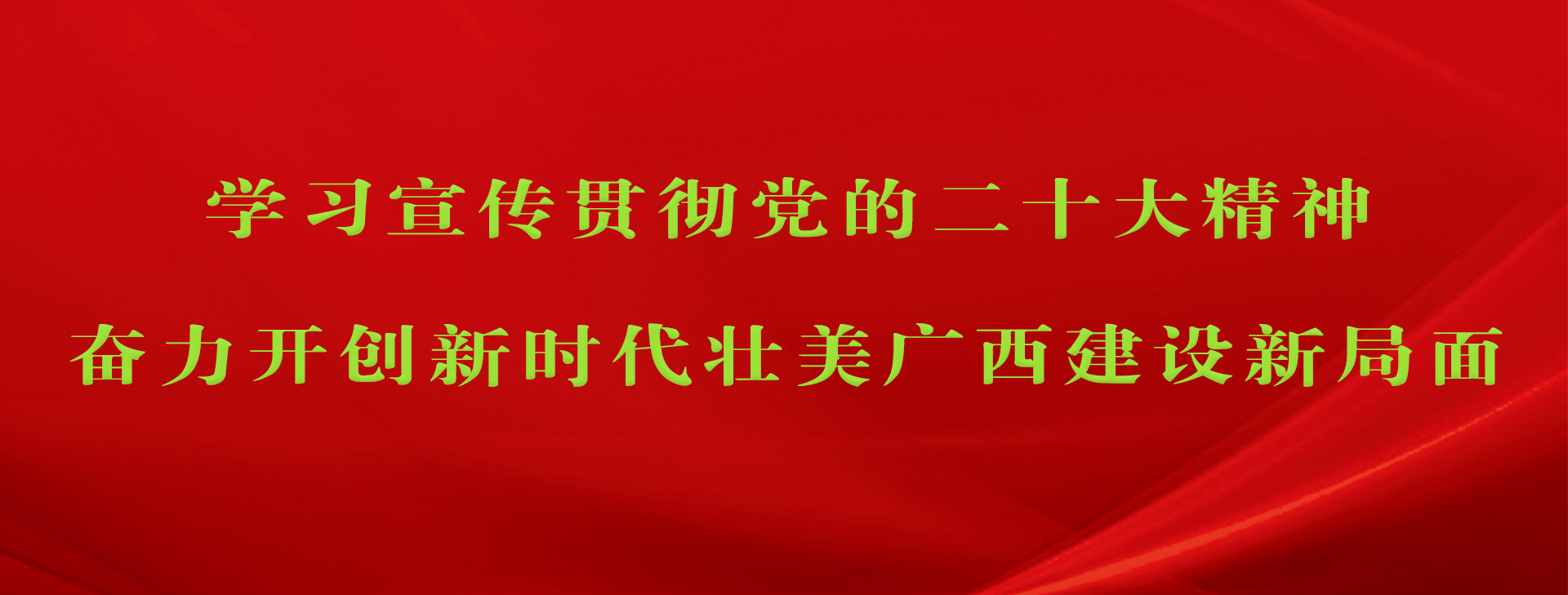 学习宣传贯彻党的二十大精神