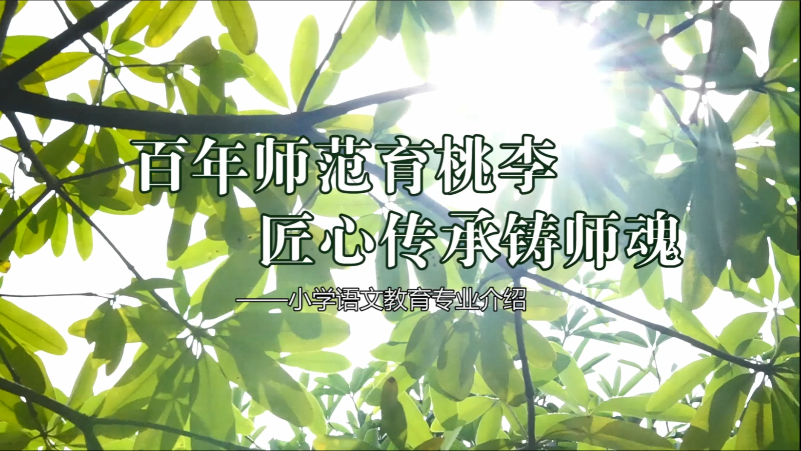 小学语文教育专业介绍视频