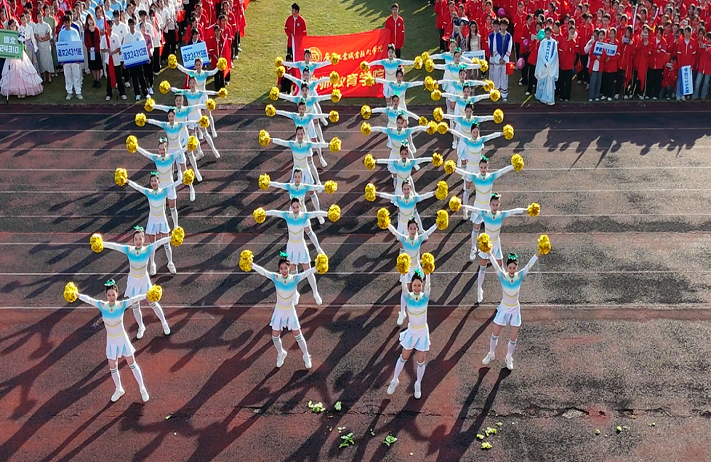 图片5