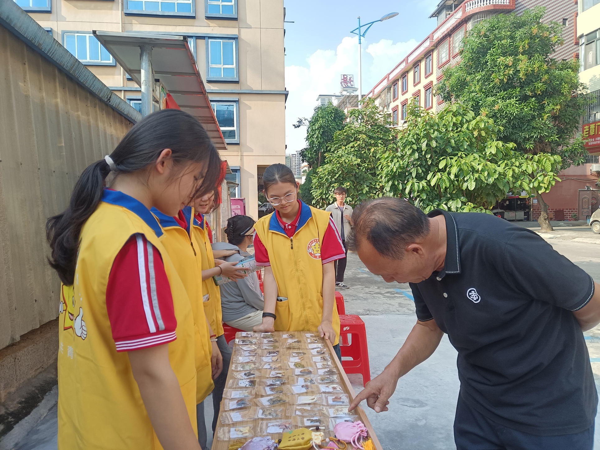 志愿者为居民介绍中药材标本