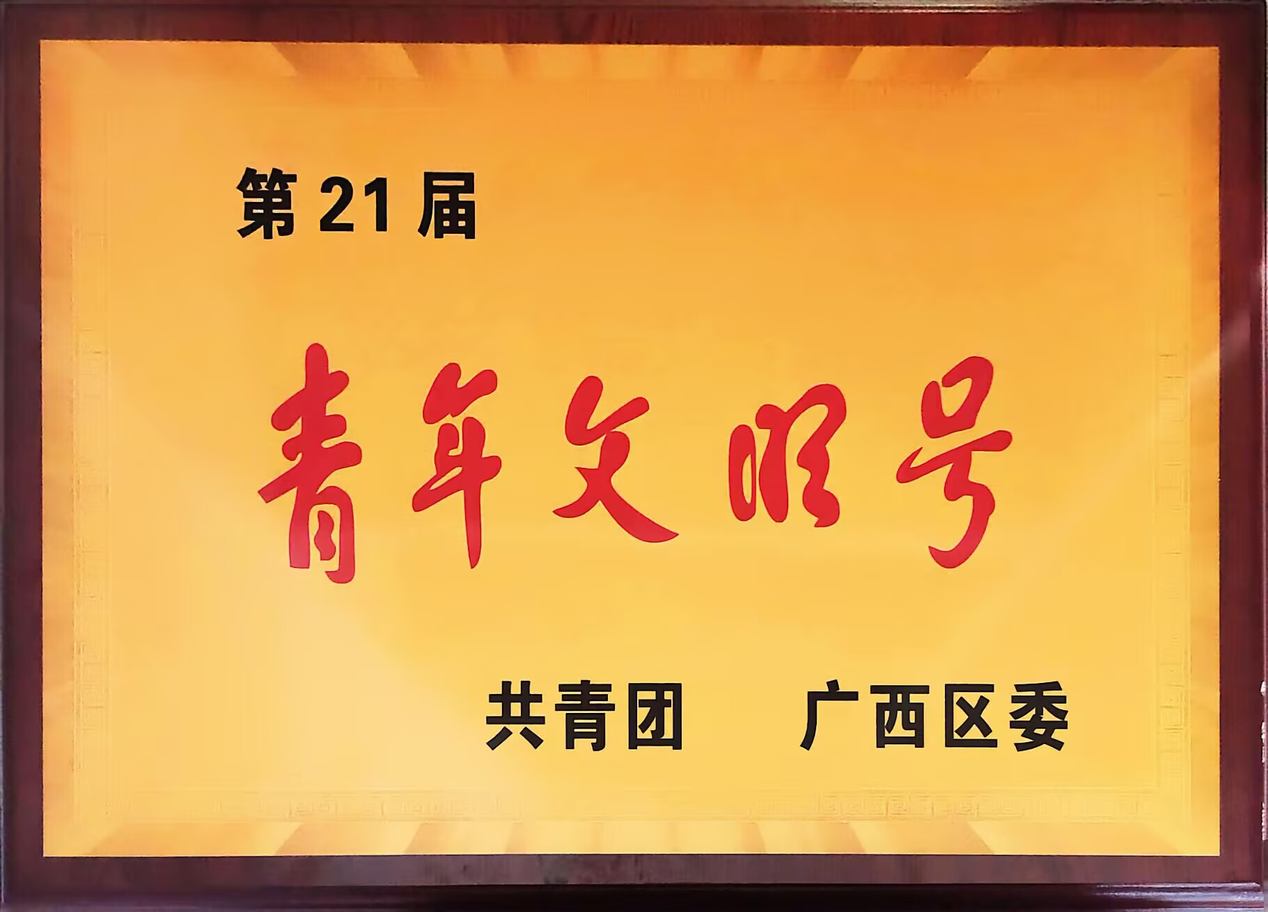 学院团体荣誉