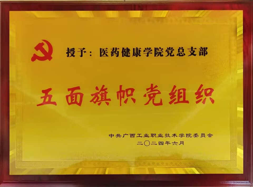 2024.6荣获校级五面旗帜党组织